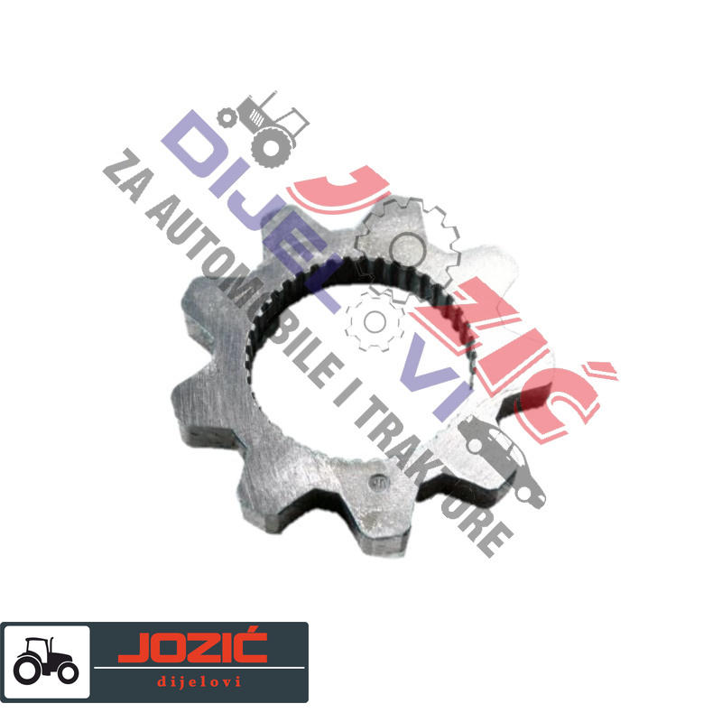 Daisy on the Ohoopee